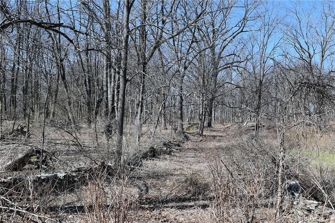 #16 photo, 79-85 Miller Road, Rhinebeck , NY 12572