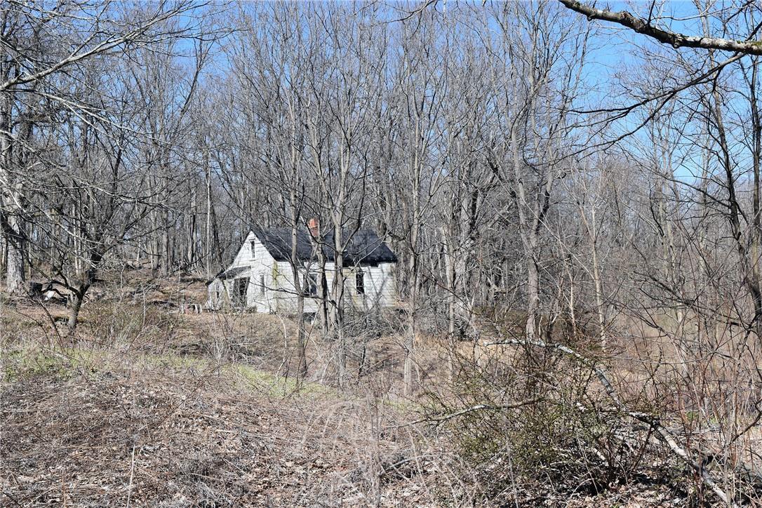 #5 photo, 79-85 Miller Road, Rhinebeck , NY 12572