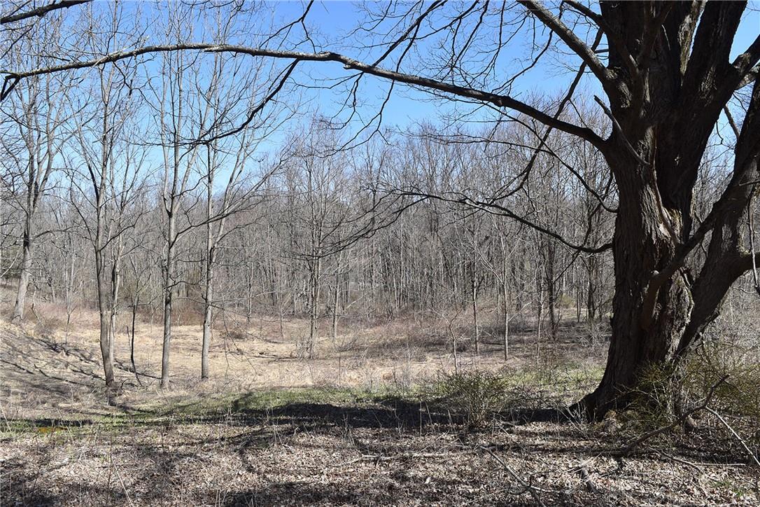 #6 photo, 79-85 Miller Road, Rhinebeck , NY 12572