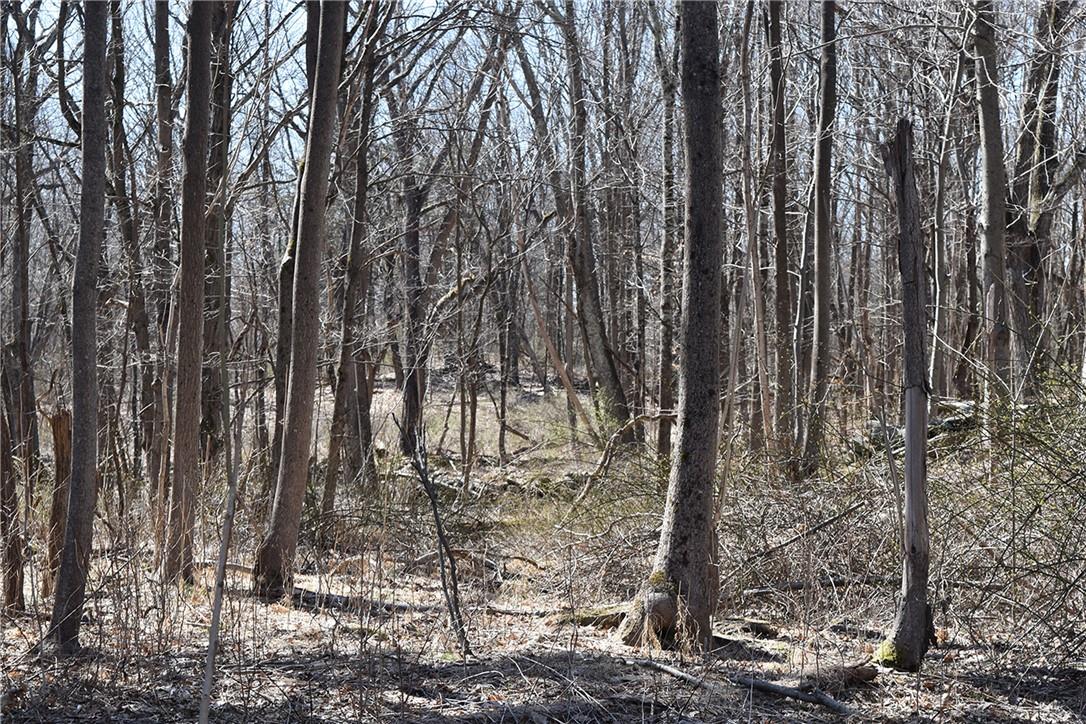 #8 photo, 79-85 Miller Road, Rhinebeck , NY 12572