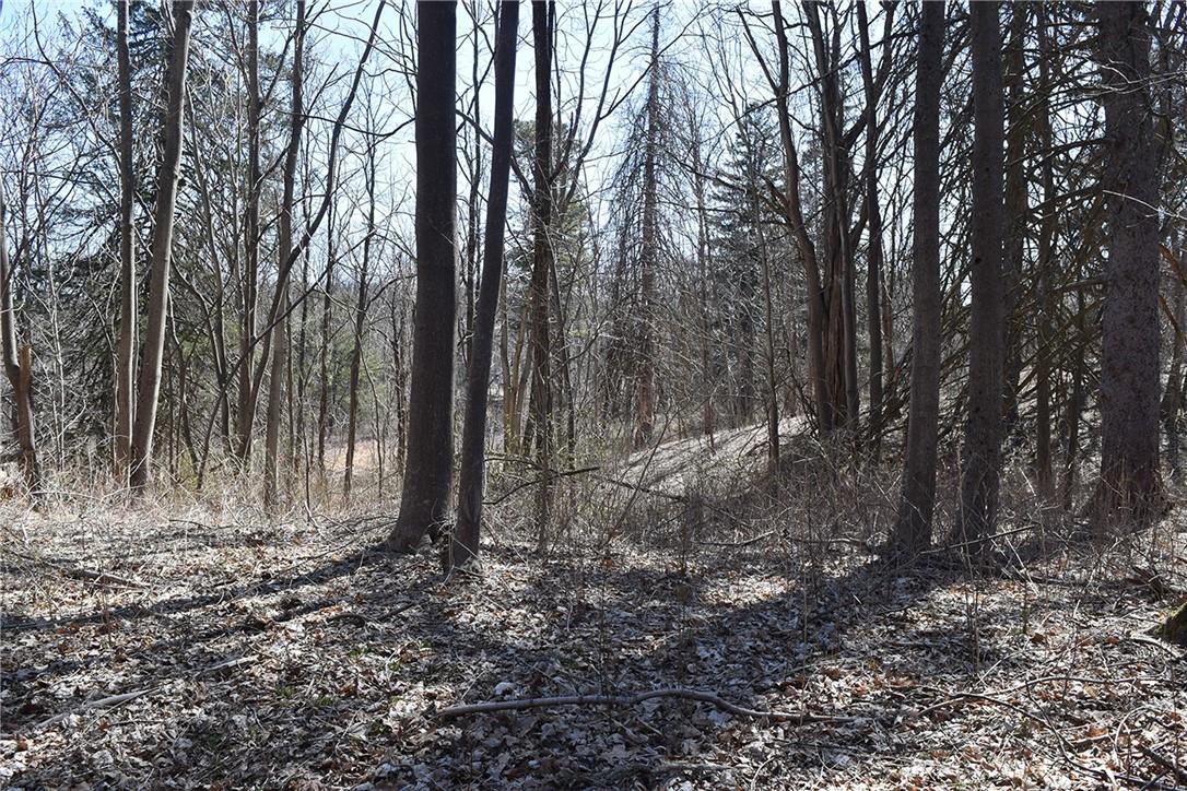 #9 photo, 79-85 Miller Road, Rhinebeck , NY 12572