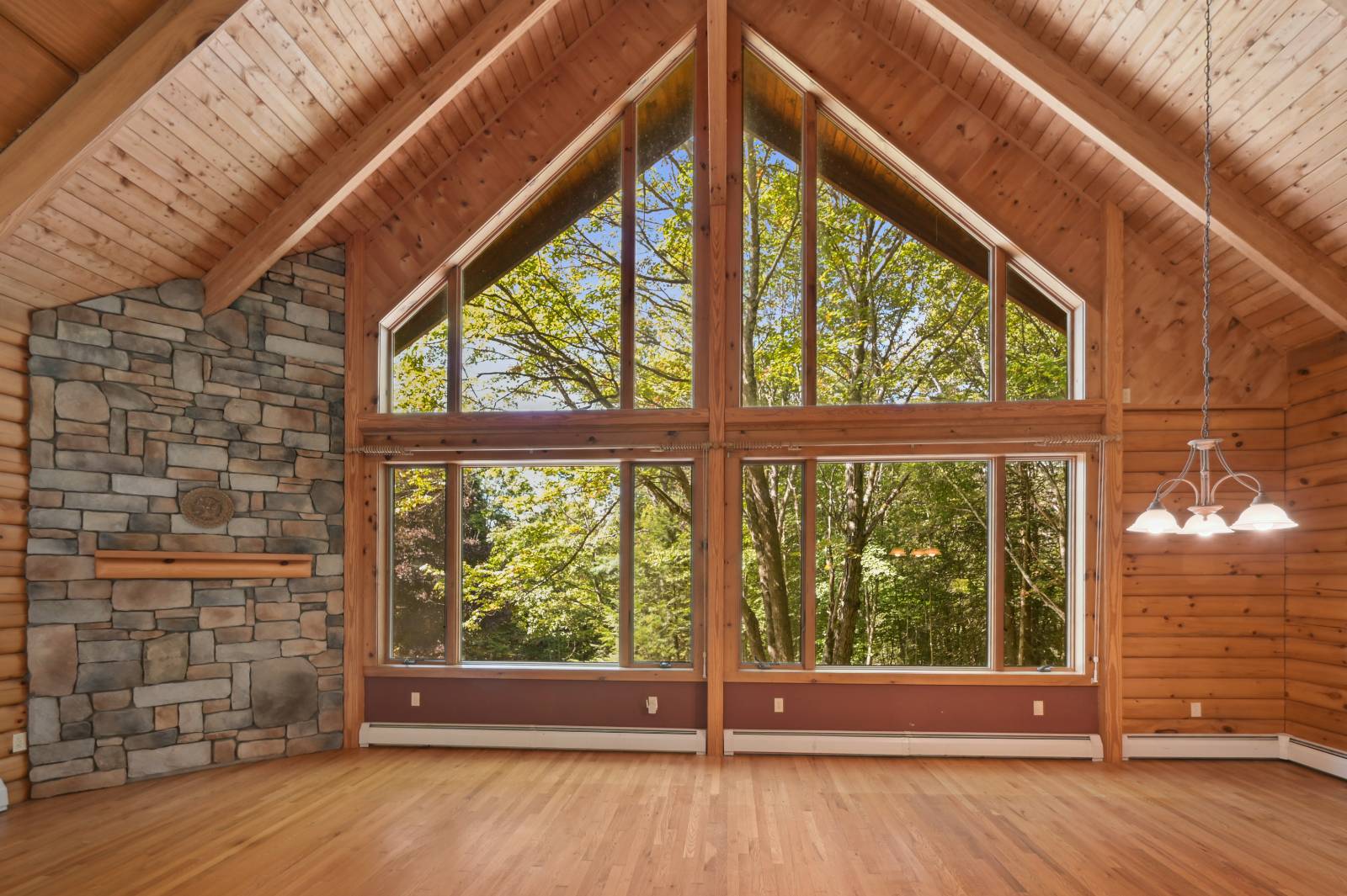 #48 photo, 135 Sparrowhawk Lake Rd, Schenevus , NY 12155