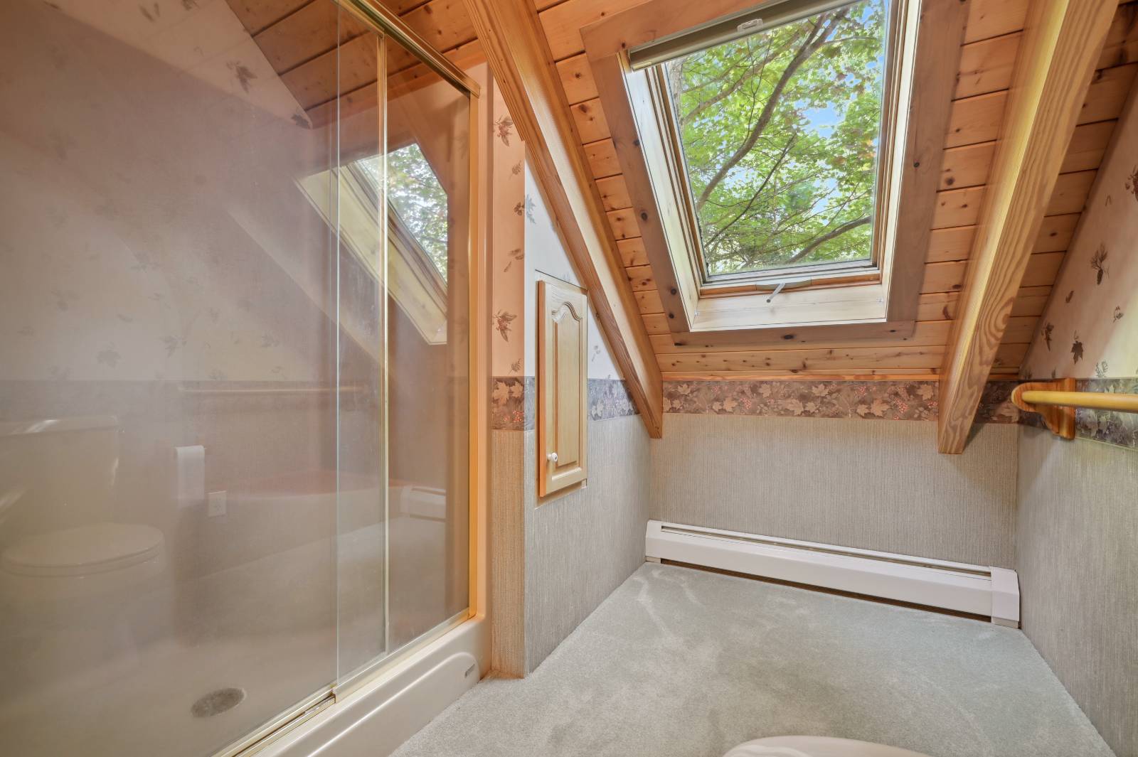 #62 photo, 135 Sparrowhawk Lake Rd, Schenevus , NY 12155