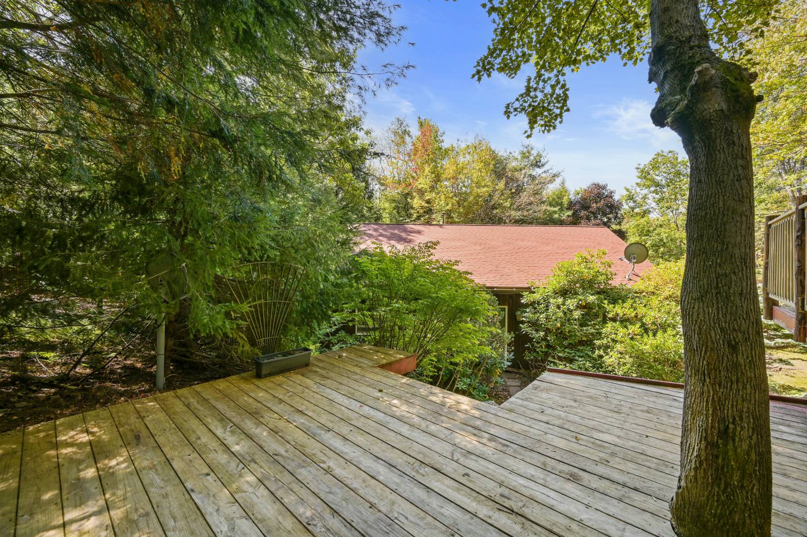 #71 photo, 135 Sparrowhawk Lake Rd, Schenevus , NY 12155