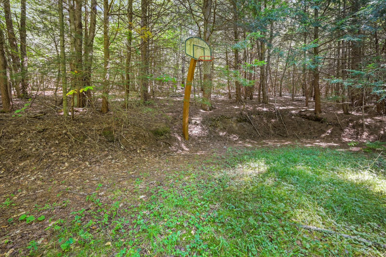 #84 photo, 135 Sparrowhawk Lake Rd, Schenevus , NY 12155