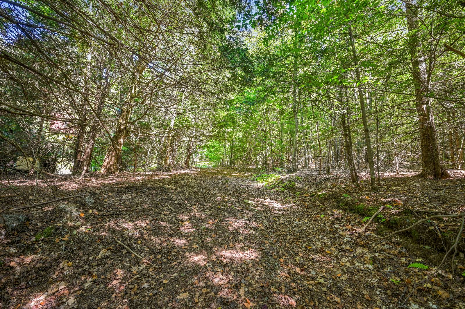 #85 photo, 135 Sparrowhawk Lake Rd, Schenevus , NY 12155