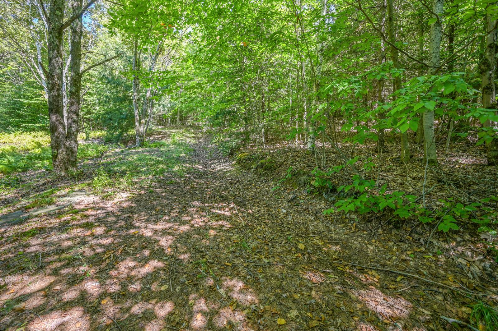 #86 photo, 135 Sparrowhawk Lake Rd, Schenevus , NY 12155