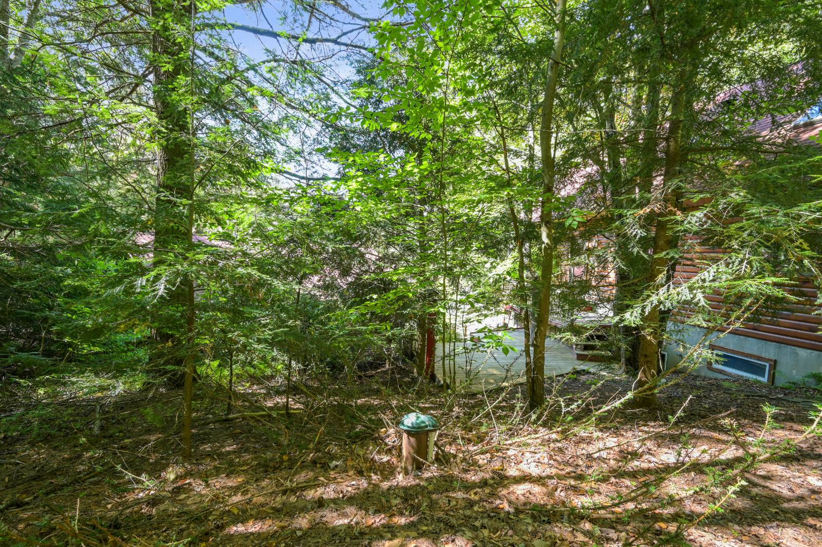 #87 photo, 135 Sparrowhawk Lake Rd, Schenevus , NY 12155