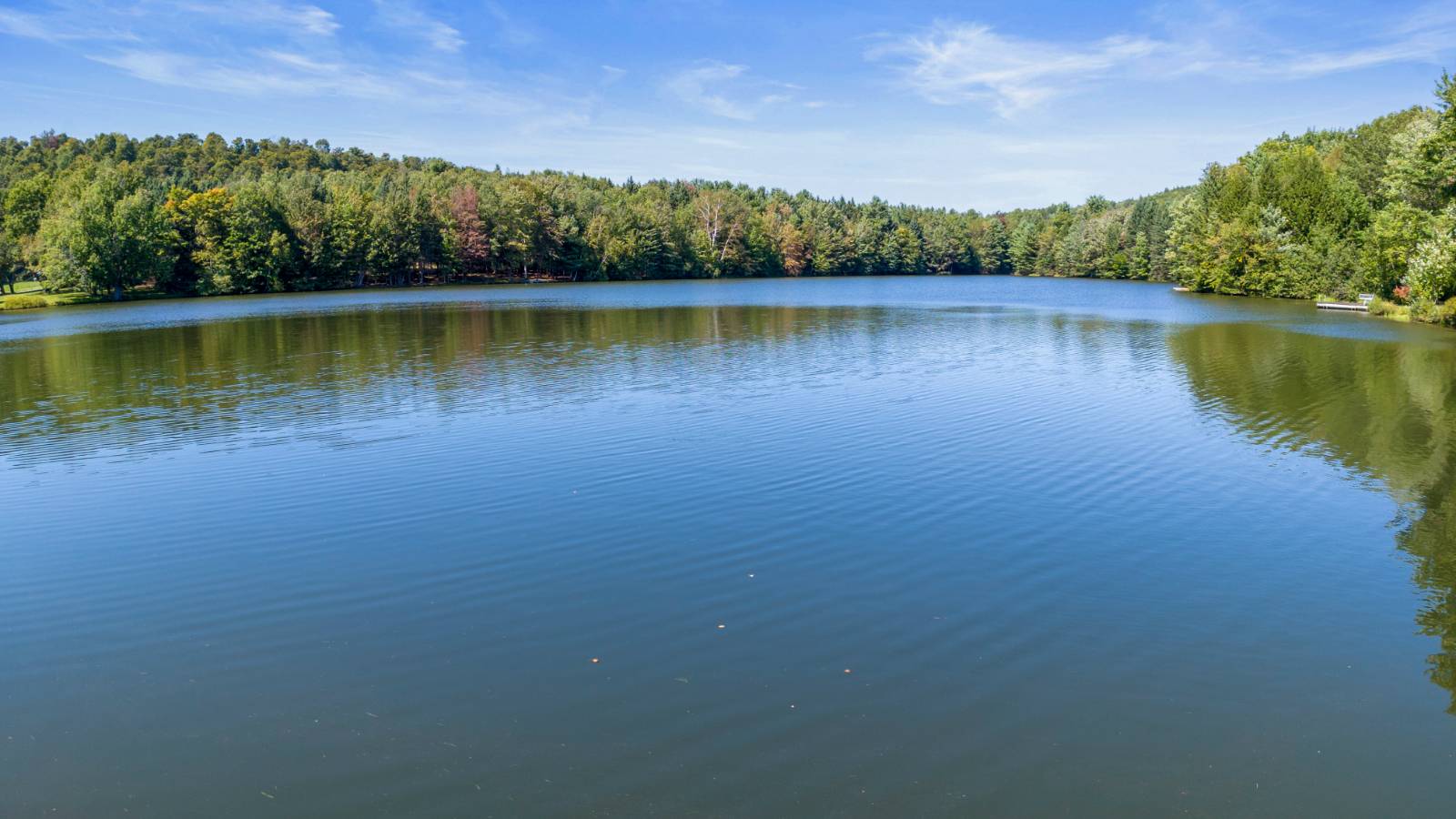 #92 photo, 135 Sparrowhawk Lake Rd, Schenevus , NY 12155