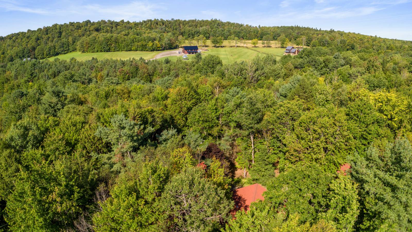 #97 photo, 135 Sparrowhawk Lake Rd, Schenevus , NY 12155