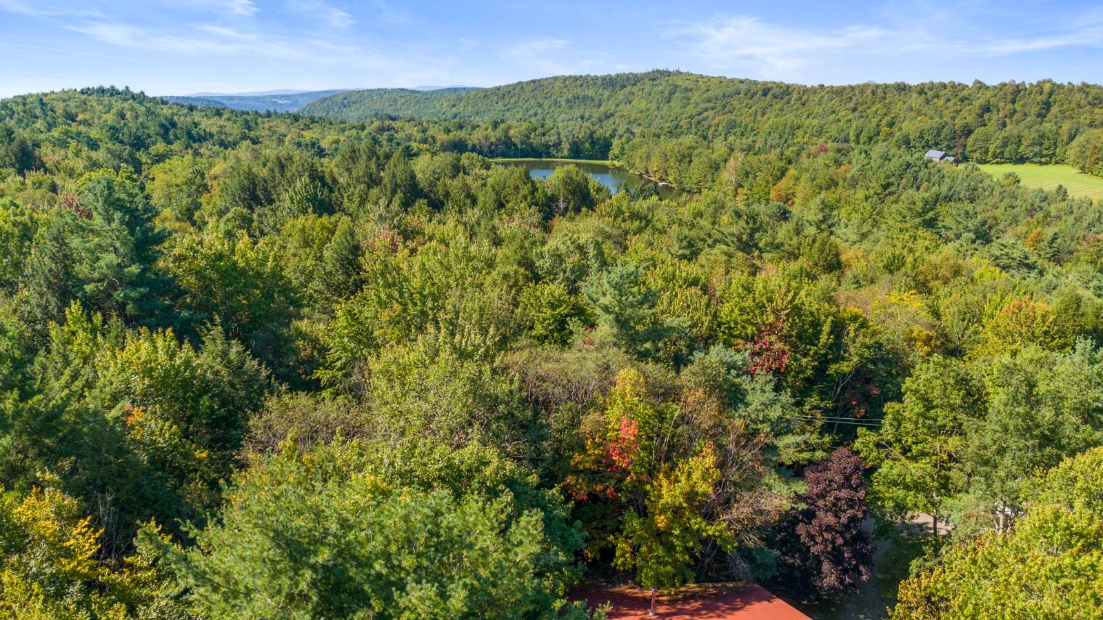 #98 photo, 135 Sparrowhawk Lake Rd, Schenevus , NY 12155