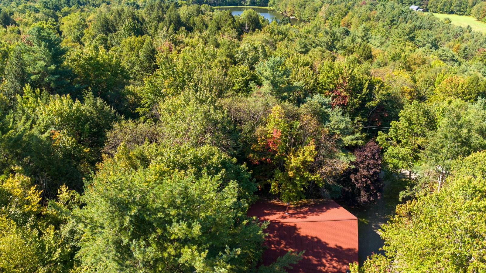 #99 photo, 135 Sparrowhawk Lake Rd, Schenevus , NY 12155