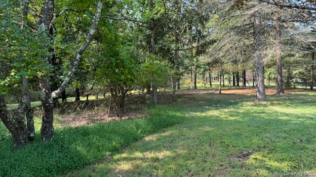 #12 photo, 471 Mountain Road, Bloomingburg , NY 12721