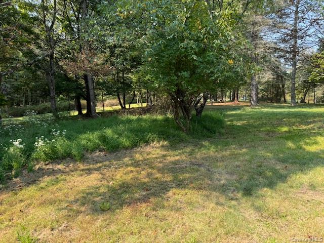 #2 photo, 471 Mountain Road, Bloomingburg , NY 12721