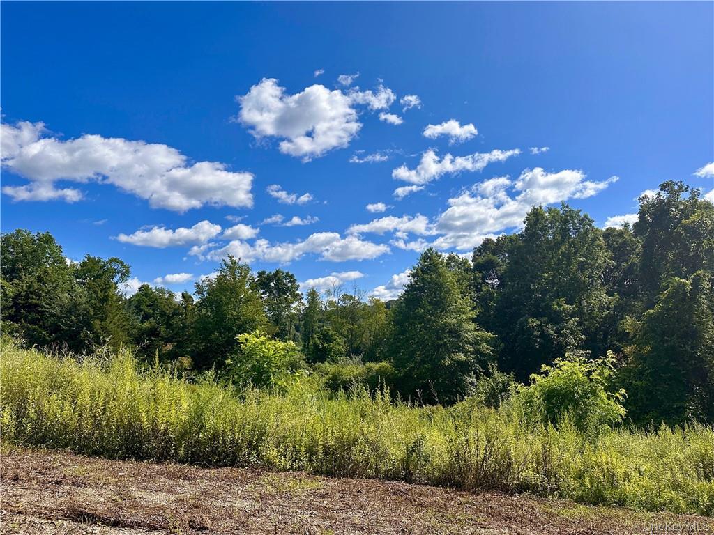 #2 photo, 34 Mountainside Drive, Chester , NY 10918