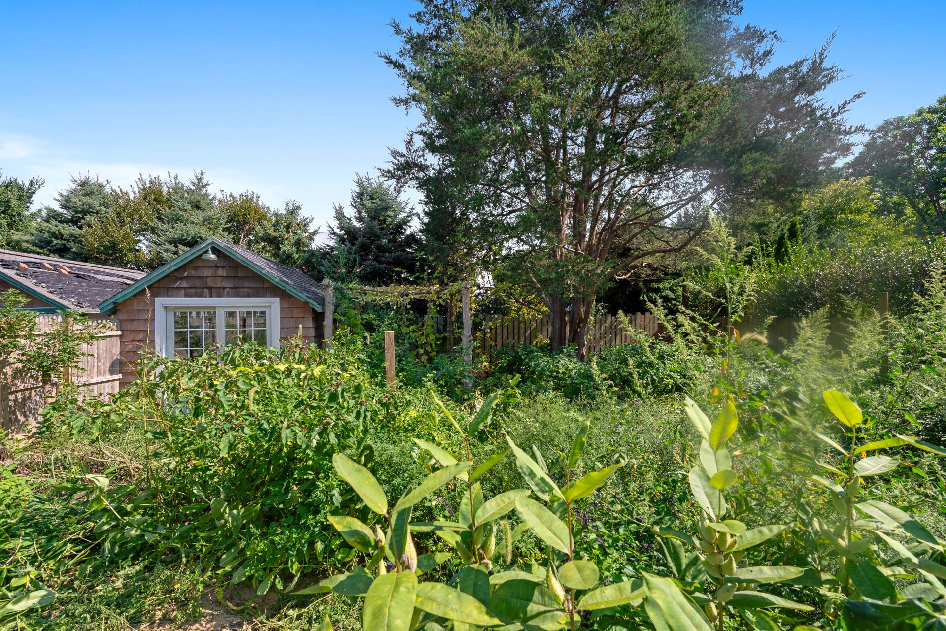 #5 photo, 38 Maidstone Avenue, サフォーク郡 East Hampton , NY 11937