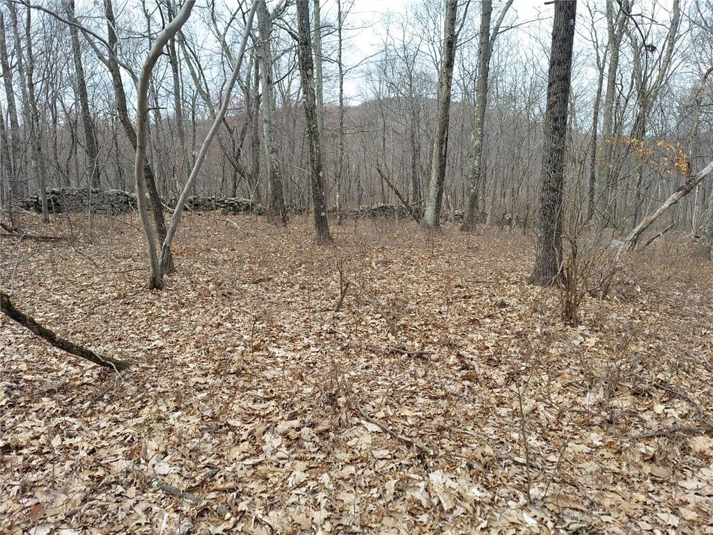 #12 photo, 489 Grape Hollow Road, Holmes , NY 12531