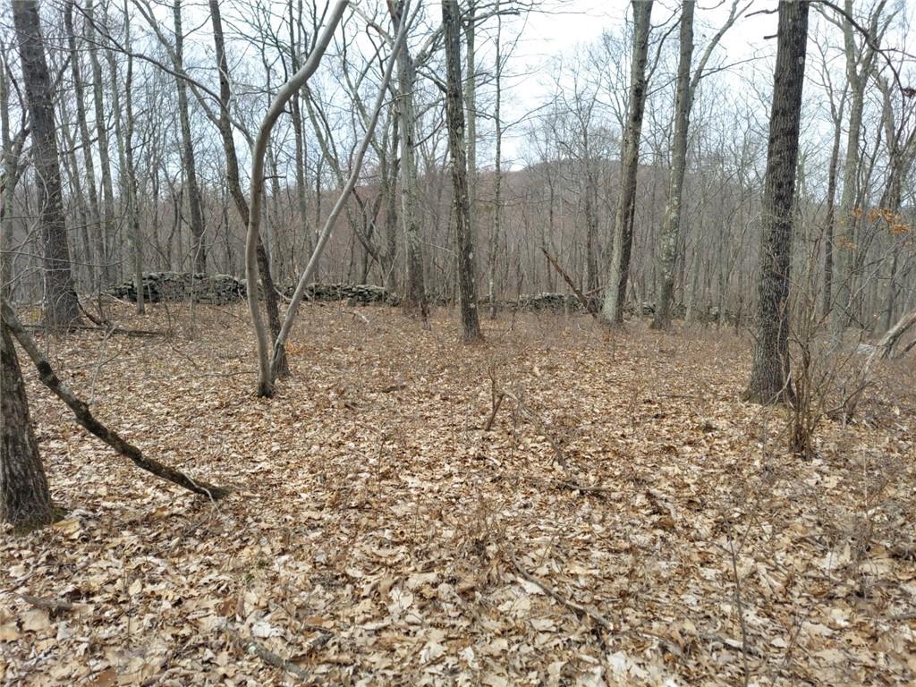 #13 photo, 489 Grape Hollow Road, Holmes , NY 12531