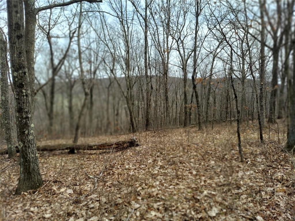 #14 photo, 489 Grape Hollow Road, Holmes , NY 12531