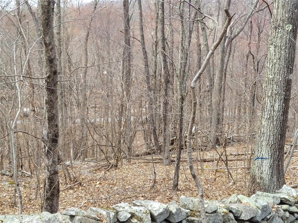 #15 photo, 489 Grape Hollow Road, Holmes , NY 12531