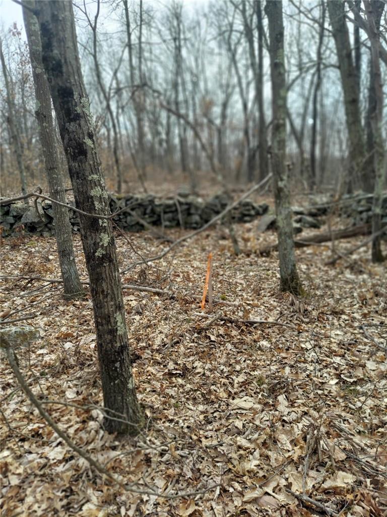 #16 photo, 489 Grape Hollow Road, Holmes , NY 12531