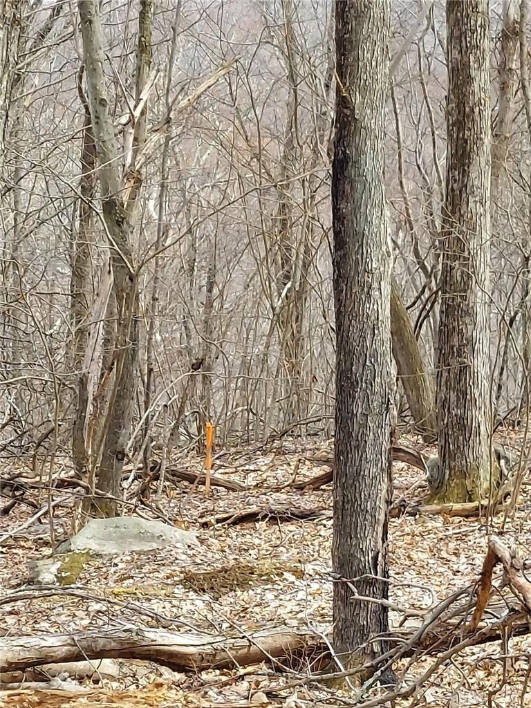 #6 photo, 489 Grape Hollow Road, Holmes , NY 12531