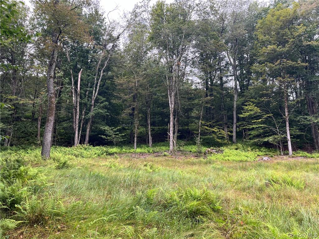 #11 photo, 34 Black Bear Crossing, Claryville , NY 12725