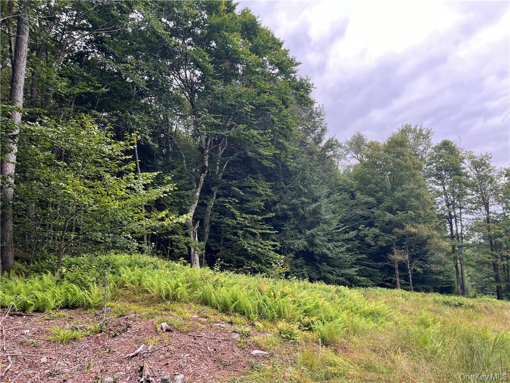 #12 photo, 34 Black Bear Crossing, Claryville , NY 12725