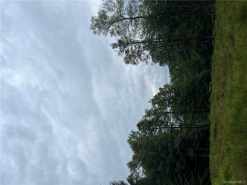 #13 photo, 34 Black Bear Crossing, Claryville , NY 12725