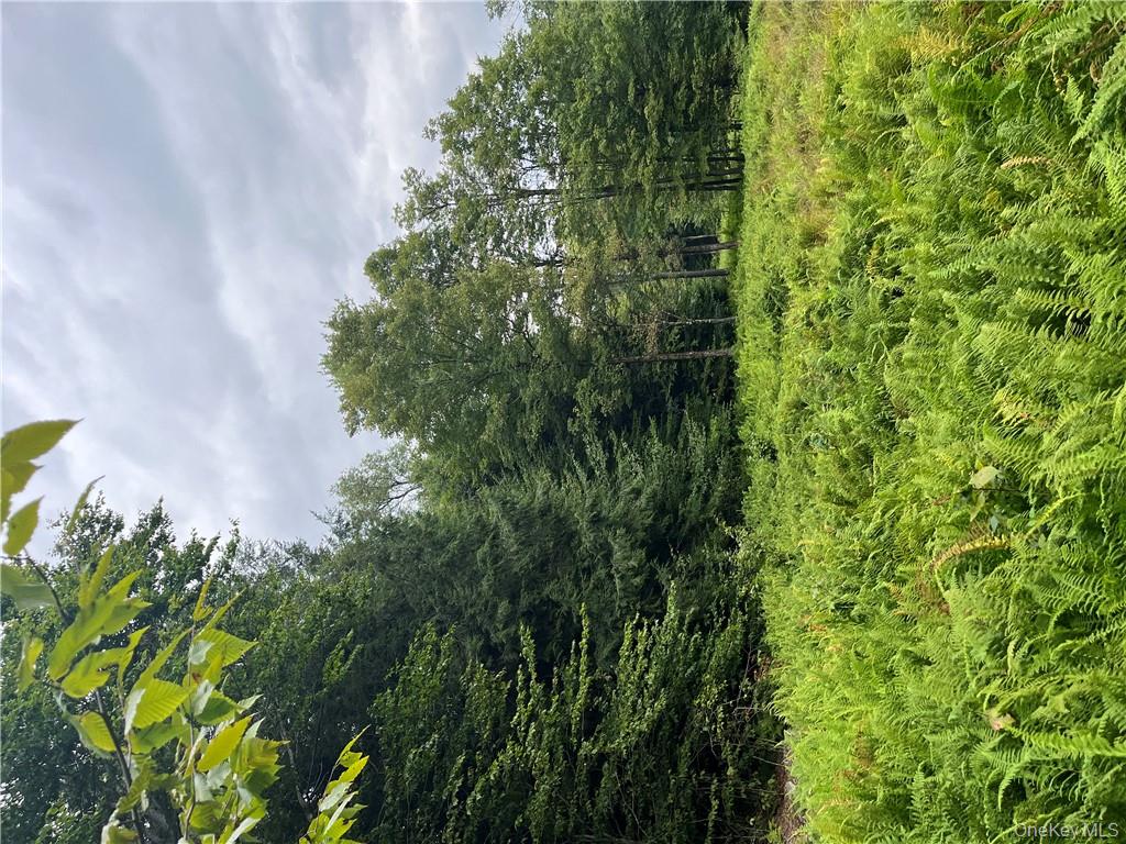 #14 photo, 34 Black Bear Crossing, Claryville , NY 12725