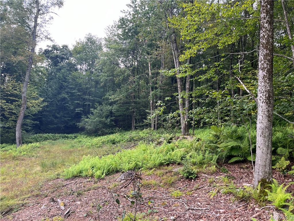 #15 photo, 34 Black Bear Crossing, Claryville , NY 12725