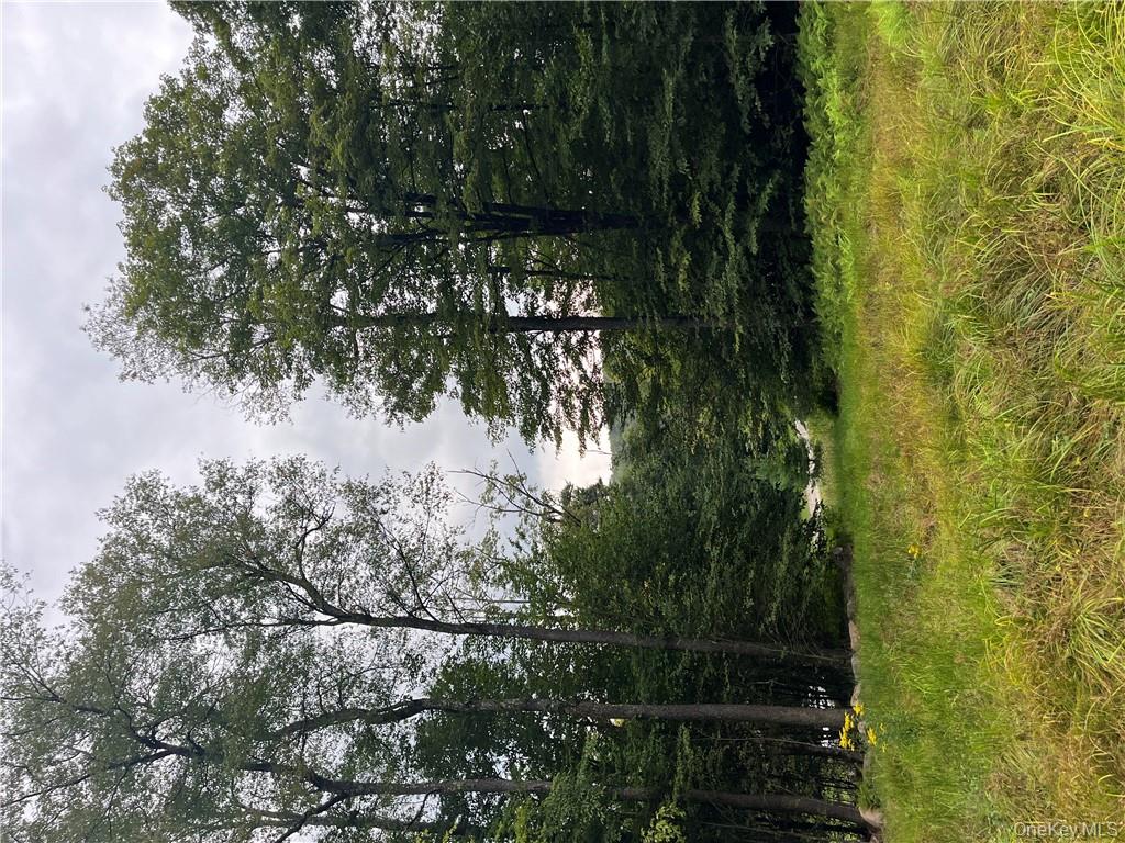 #16 photo, 34 Black Bear Crossing, Claryville , NY 12725