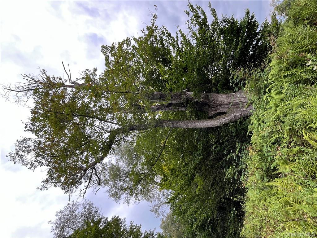 #17 photo, 34 Black Bear Crossing, Claryville , NY 12725