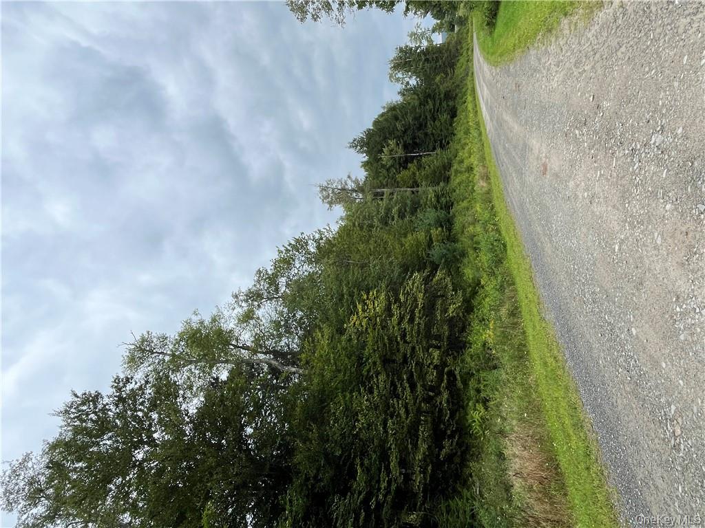 #18 photo, 34 Black Bear Crossing, Claryville , NY 12725