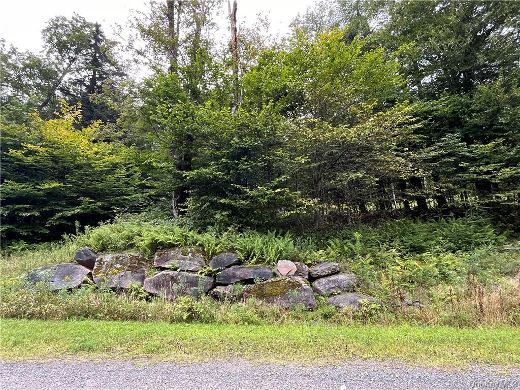 #19 photo, 34 Black Bear Crossing, Claryville , NY 12725