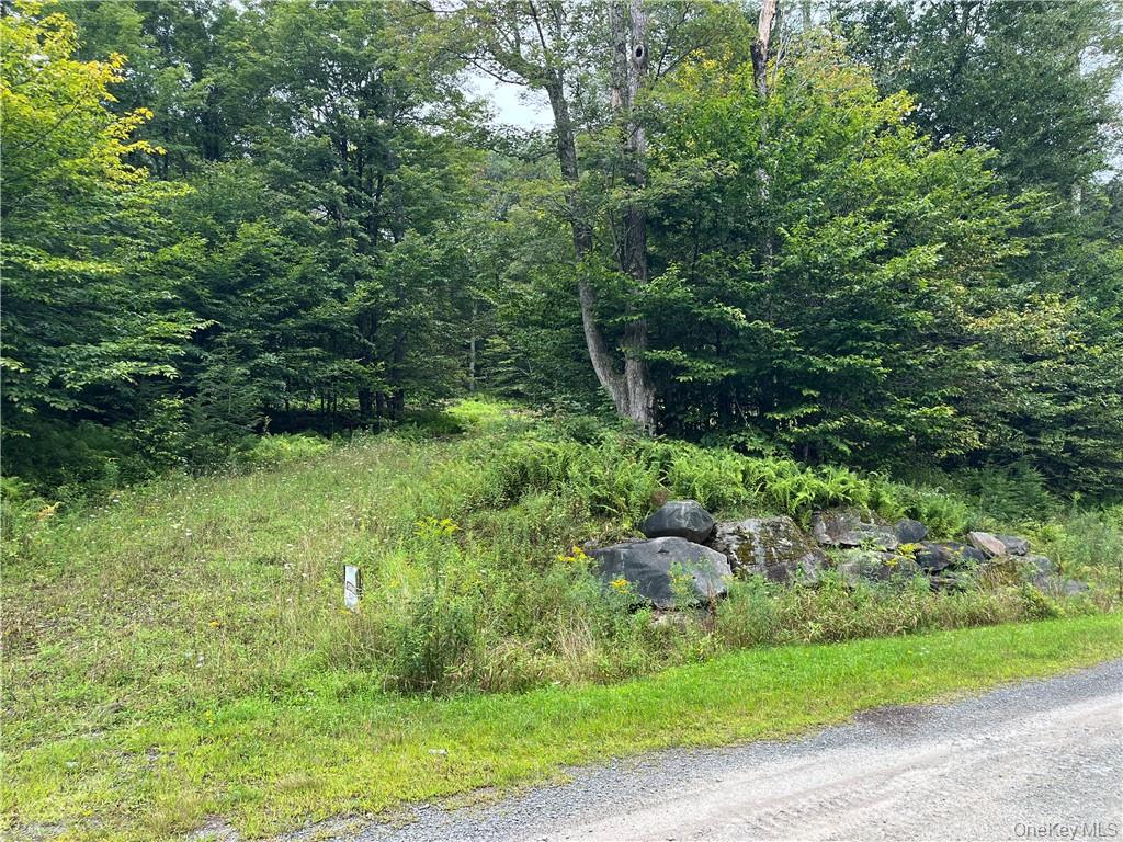 #3 photo, 34 Black Bear Crossing, Claryville , NY 12725