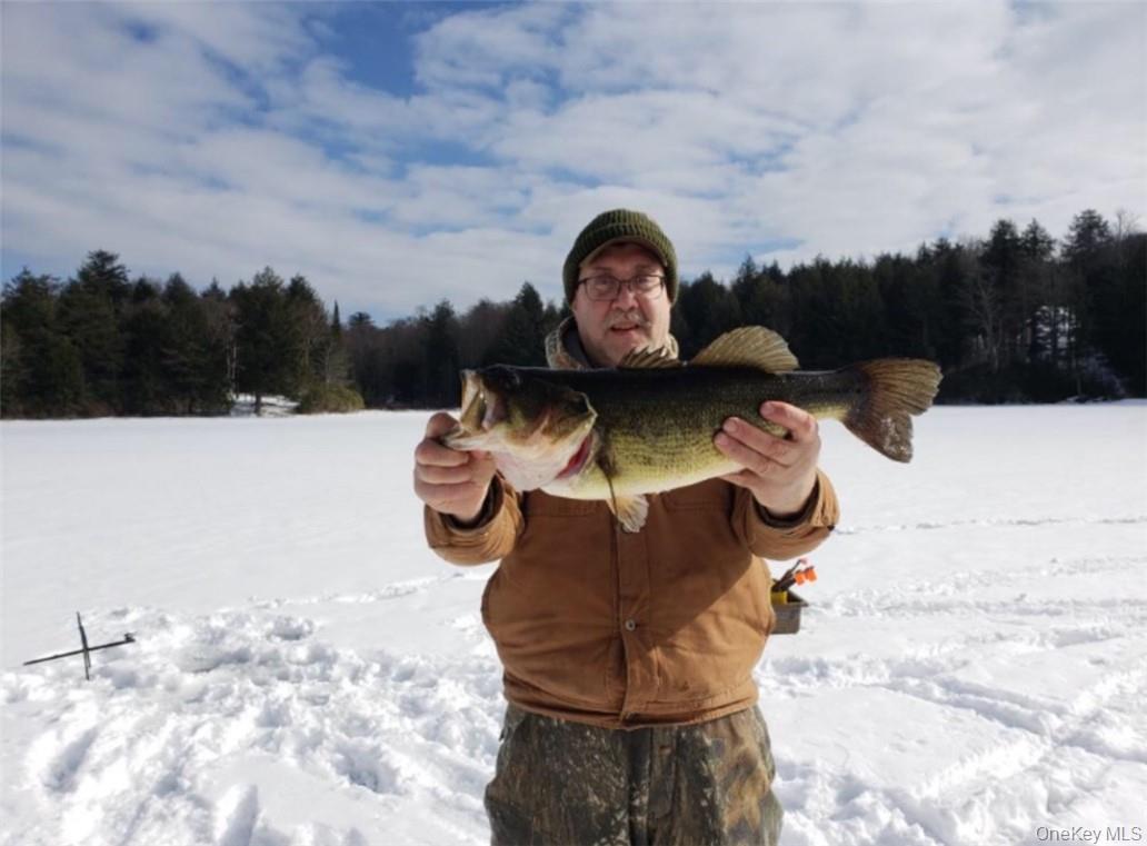 #6 photo, 34 Black Bear Crossing, Claryville , NY 12725