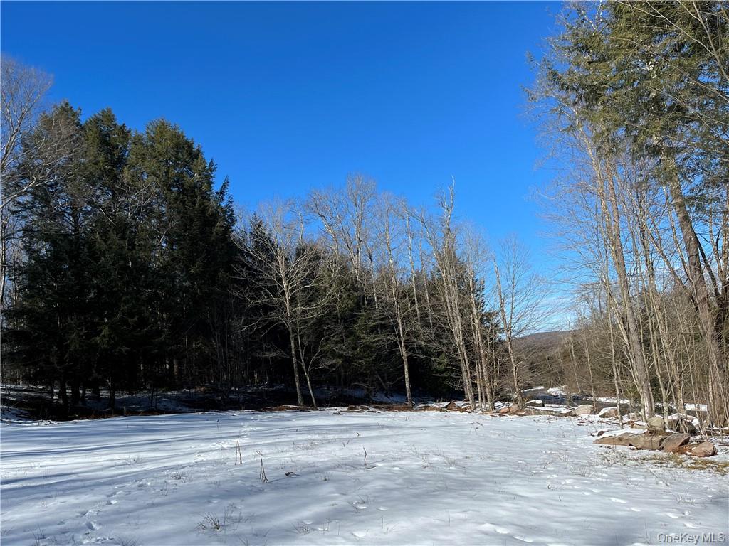 #7 photo, 34 Black Bear Crossing, Claryville , NY 12725