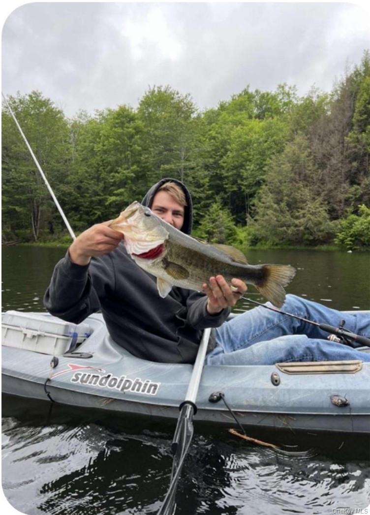 #8 photo, 34 Black Bear Crossing, Claryville , NY 12725