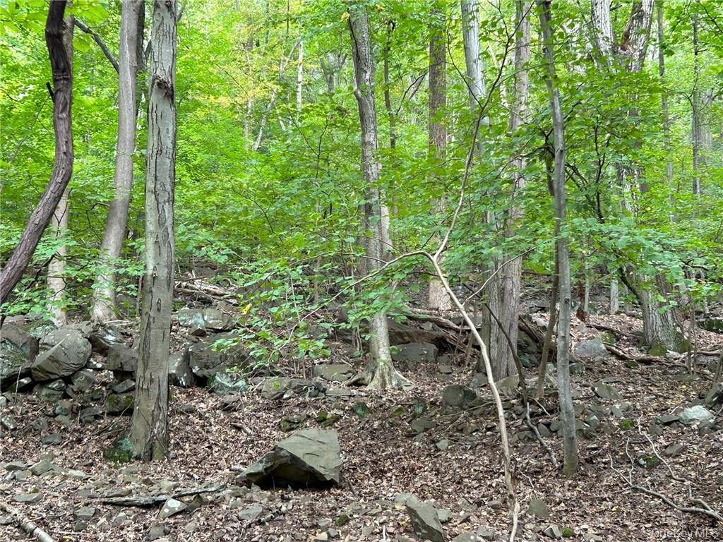 #9 photo, 63 Westside Avenue, Haverstraw , NY 10927