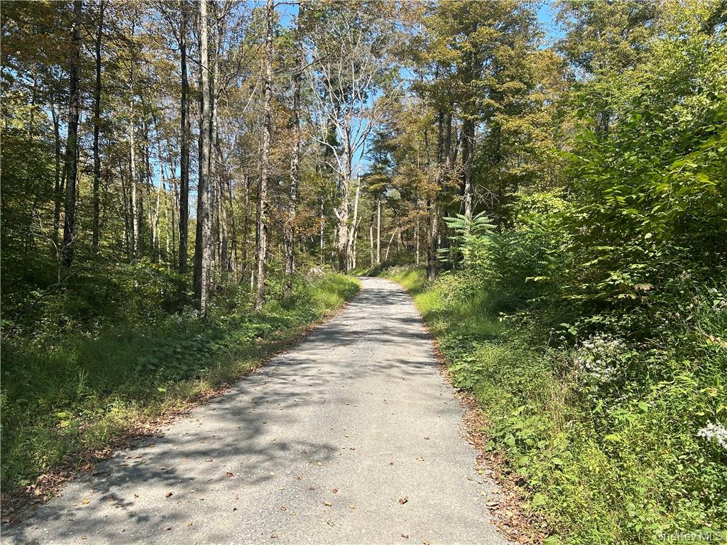 #10 photo, Westfall, Ancram , NY 12502