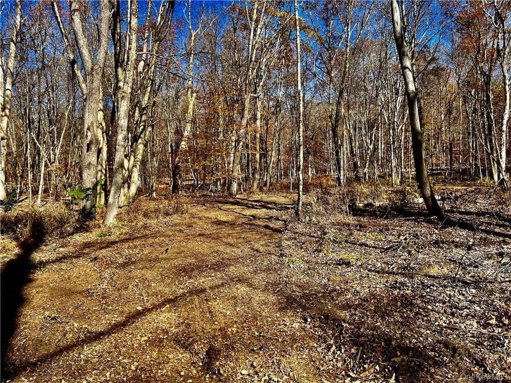 #11 photo, Westfall, Ancram , NY 12502