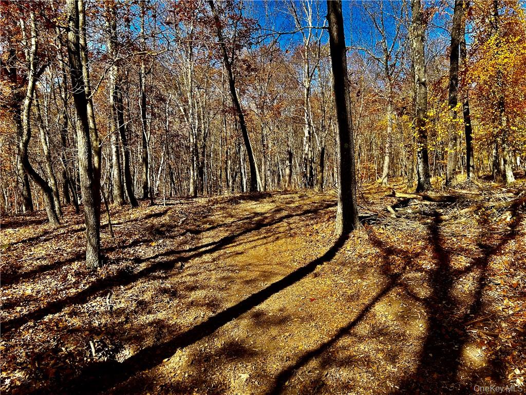 #12 photo, Westfall, Ancram , NY 12502