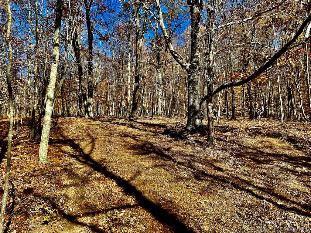 #13 photo, Westfall, Ancram , NY 12502