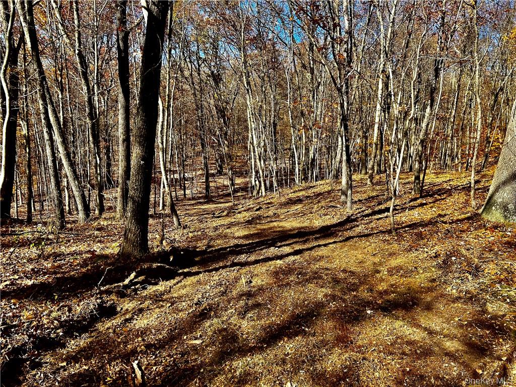 #14 photo, Westfall, Ancram , NY 12502