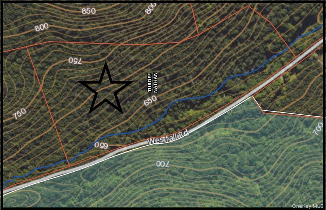 #16 photo, Westfall, Ancram , NY 12502