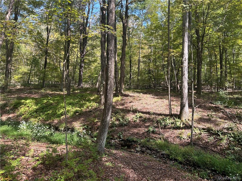 #4 photo, Westfall, Ancram , NY 12502