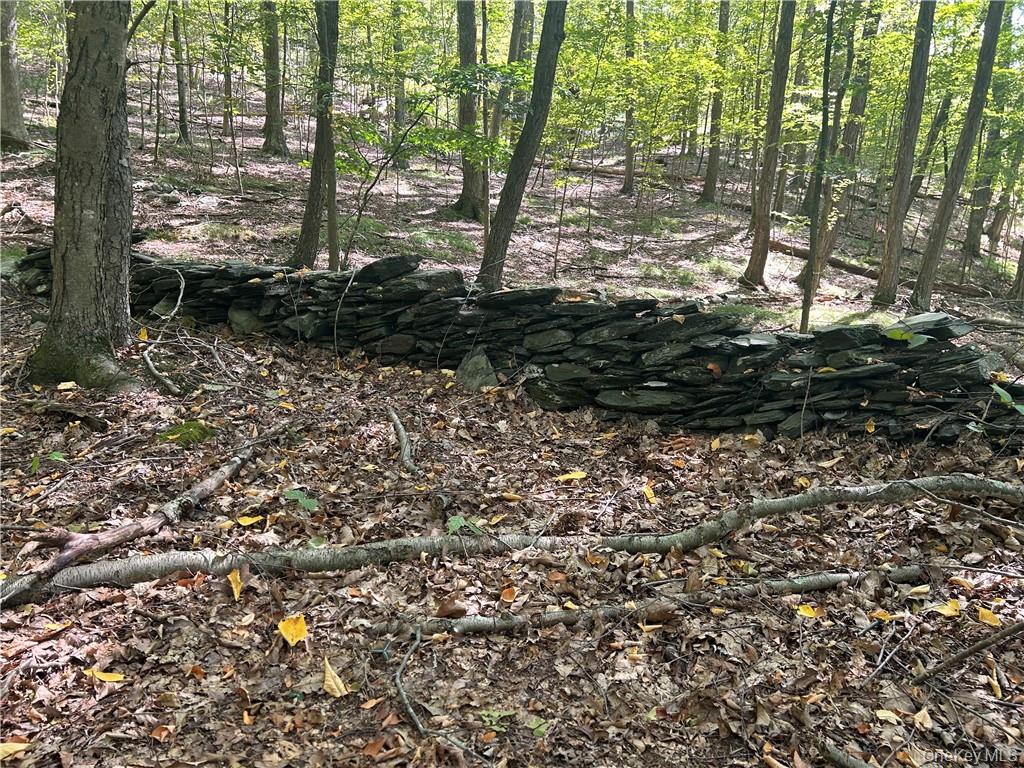 #7 photo, Westfall, Ancram , NY 12502