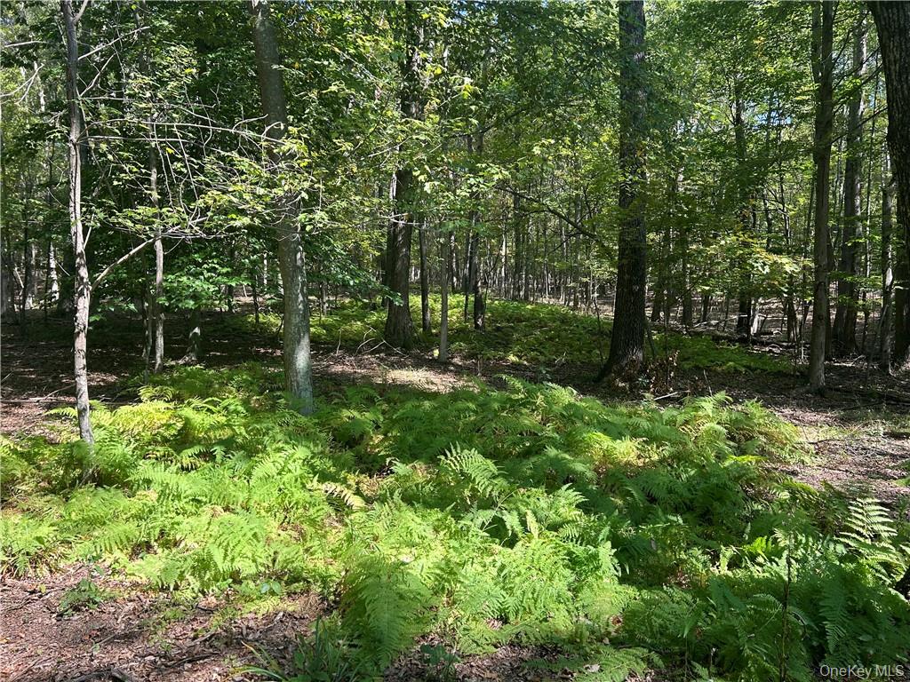 #8 photo, Westfall, Ancram , NY 12502