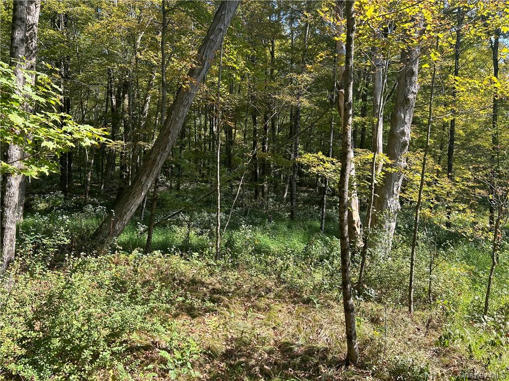 #9 photo, Westfall, Ancram , NY 12502